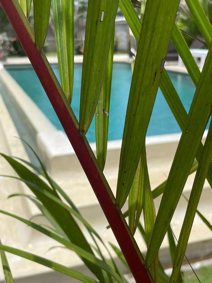 Hola Lofts Villa Uluwatu Eksteriør billede